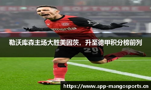 芒果体育官网